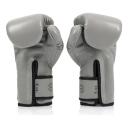 Fairtex Microfibre Boxing Gloves Muay Thai Boxing, MMA, Kickboxing,Training Boxing Equipment, Gear For Martial Art - BGV14, BGV1 Limited Edition