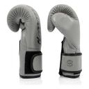 Fairtex Microfibre Boxing Gloves Muay Thai Boxing, MMA, Kickboxing,Training Boxing Equipment, Gear For Martial Art - BGV14, BGV1 Limited Edition