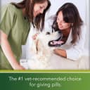 Greenies Chicken Flavored Capsule Pill Pockets, 60 Count
