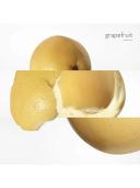 Hermes Terre D'Hermes Coffret: Eau De Toilette Spray 50ml/1.6oz + Hair and Body Shower Gel 40ml/1.35oz + After-Shave Lotion 40ml/1.35oz 3pcs