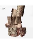 Hermes Terre D'Hermes Coffret: Eau De Toilette Spray 50ml/1.6oz + Hair and Body Shower Gel 40ml/1.35oz + After-Shave Lotion 40ml/1.35oz 3pcs