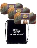 Lion Brand Knitting Yarn Landscapes Desert Spring 3-Skein Factory Pack (Same Dye Lot) 545-204 Bundle with 1 Artsiga Crafts Project Bag