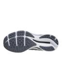 Mizuno Wave Rider 25 Waveknit Mens