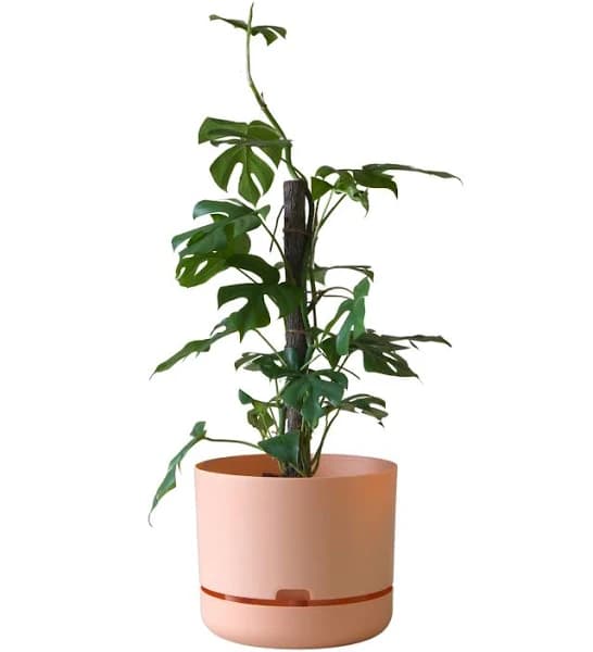 Mr Kitly Self Watering Pot 300mm 300mm / Pale Apricot