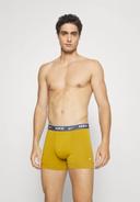Nike Trunk Boxer Shorts Mustard Yellow Red Green Turquoise (3 Units) - S