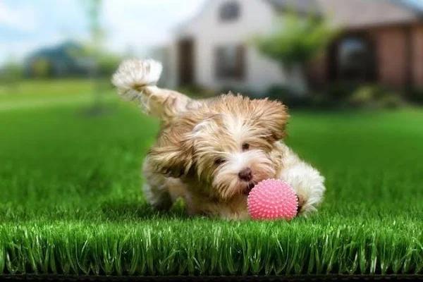 OTANIC Artificial Grass 18mm 40 SQM 2x5m Four Rolls Synthetic Turf One Roll Fake Yarn Lawn