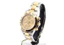 Rolex Cosmograph Daytona Champagne Dial Steel and 18K Yellow Gold Men&s Watch 116503