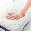 Royal Comfort Bedding Set 1 x 1200TC 4 Piece Sheet Set and 2 x Air Mesh Pillows - AfterPay & zipPay Available