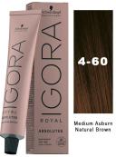 Schwarzkopf Igora Royal Absolutes Permanent Color 6-60 Dark Blonde Chocolate Natural 2.1 oz