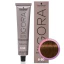 Schwarzkopf Igora Royal Absolutes Permanent Color 6-60 Dark Blonde Chocolate Natural 2.1 oz