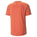 Seasons Men's coolCELL Trail Running T-Shirt in Chili Powder, Size XS, Nylon/Elastane by Puma
