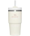 Stanley Quencher H2.0 Flowstate Stainless Steel Vacuum Insulated Tumbler With Lid and Straw For Water, Iced Tea or Coffee, Smoothie and More 20oz -