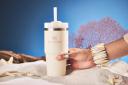 Stanley Quencher H2.0 FlowState Stainless Steel Vacuum Insulated Tumbler with Lid and Straw for Water, Iced Tea or Coffee, Smoothie and More