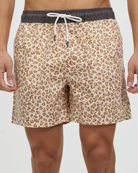 Staple Superior - Men's Brown Boardshorts - Beachside Recycled Swim Shorts - Size 34 at The Iconic