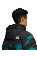 The North Face 1996 Retro Nuptse 700 Fill Packable Jacket Harbor Blue/Linear Mountain Print