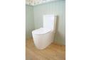 Turner Hastings Narva Rimless Back to Wall Close Coupled Toilet Suite with Thin Seat | Closed Coupled Suites | Wellsons