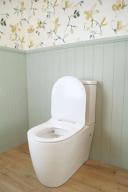 Turner Hastings Narva Rimless Back to Wall Close Coupled Toilet Suite with Thin Seat | Closed Coupled Suites | Wellsons