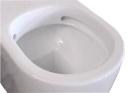 Turner Hastings Narva Rimless Back to Wall Close Coupled Toilet Suite with Thin Seat | Closed Coupled Suites | Wellsons