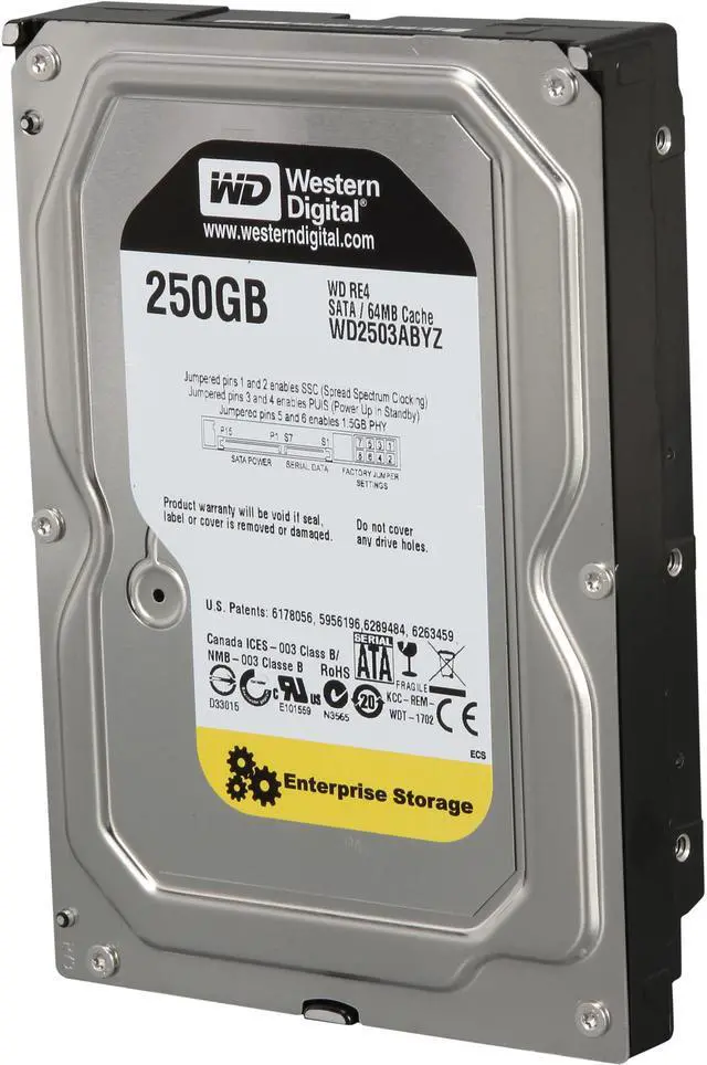 Western Digital RE4 250 GB Internal Hard Drive WD2503ABYX