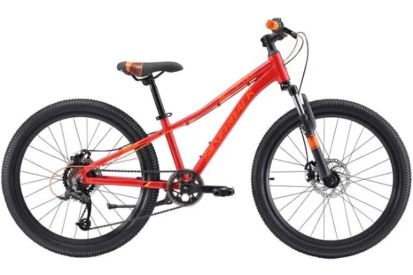 99 bikes hot sale 24 inch